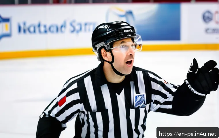 스포츠 심판의 역할과 규정 관련 이미지 2